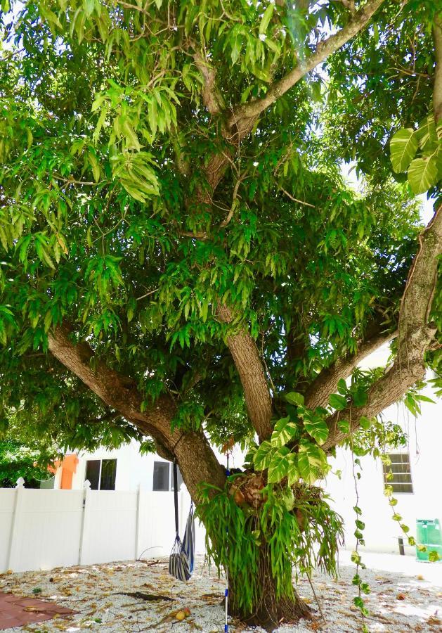 Beautiful Casita With King Bed And Private Patio Close To Calle 8, Mia Airport, Coral Gables Miami Luaran gambar